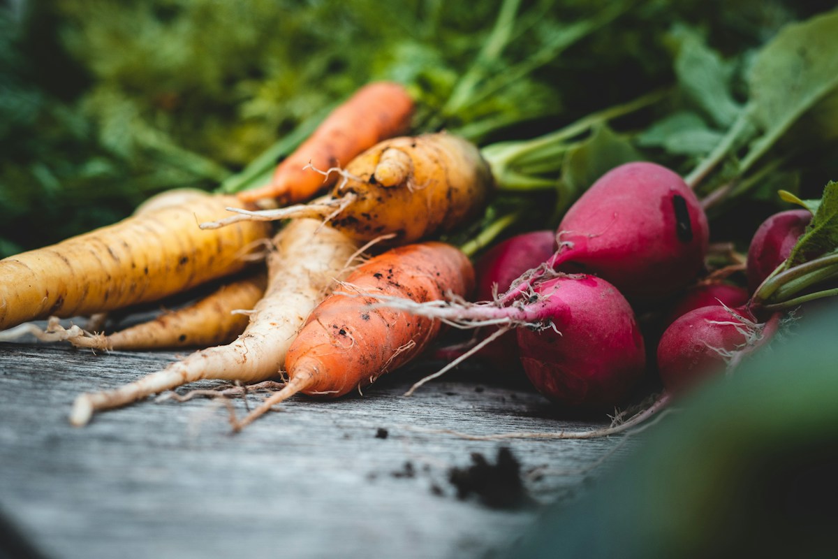Fresh root vegetables arranged on a table — representative stock photograph
